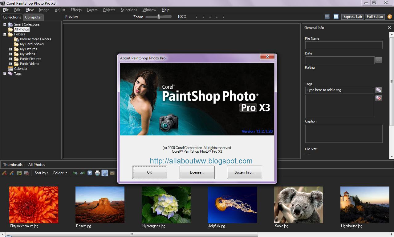 corel paint pro x3
